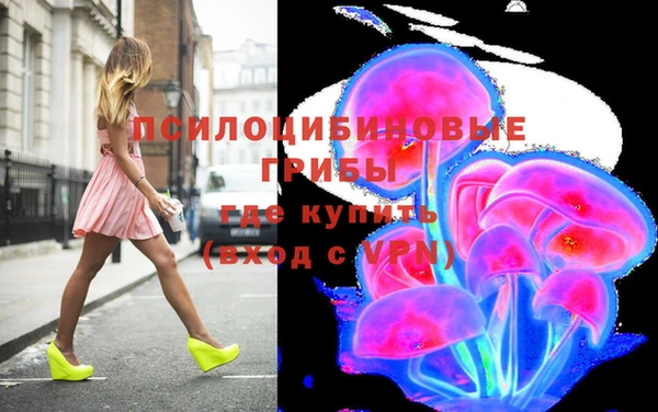 круглые Абаза