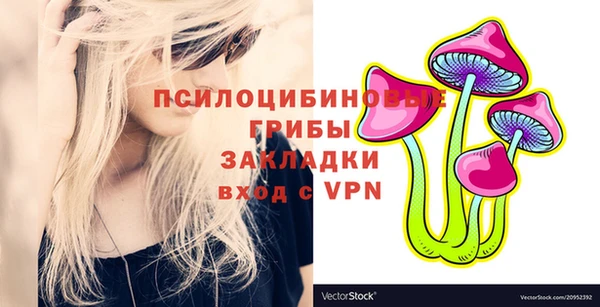 круглые Абаза
