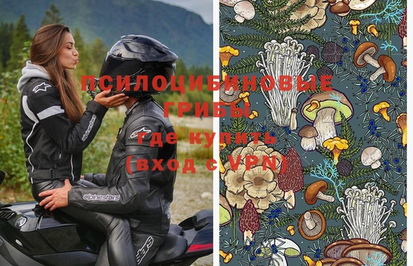 круглые Абаза