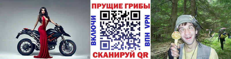магазин Карасук Псилоцибиновые грибы мицелий