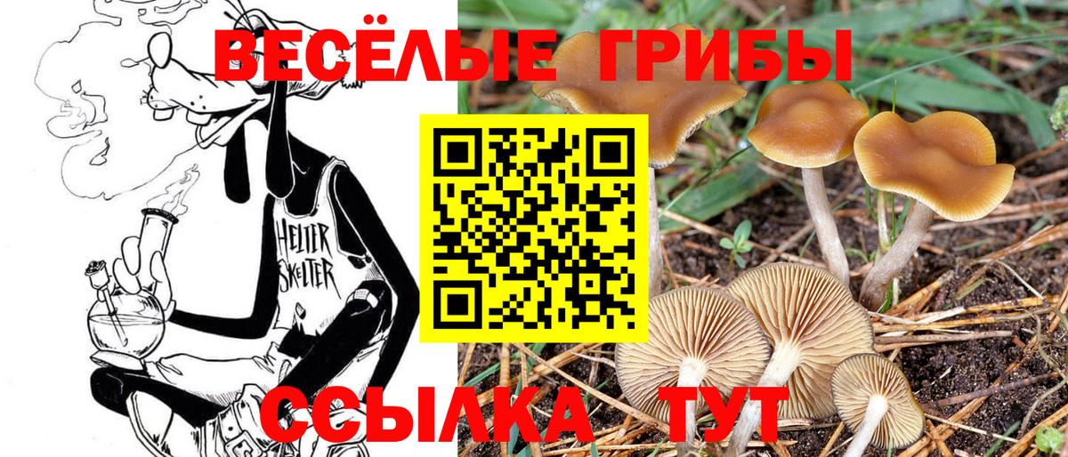Галлюциногенные грибы GOLDEN TEACHER Карасук