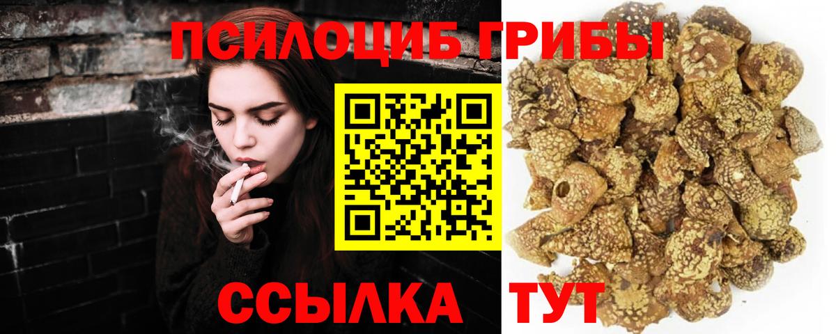 Псилоцибиновые грибы ЛСД  Галлюциногенные грибы мицелий  хочу наркоту  Вход с VPN  Карасук 