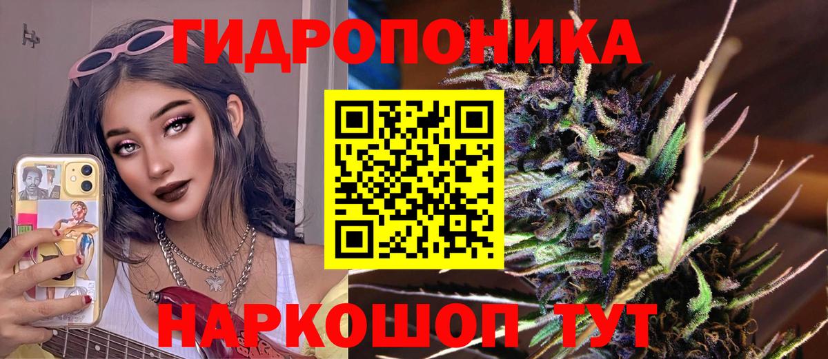 Бошки Шишки ГИДРОПОН Карасук